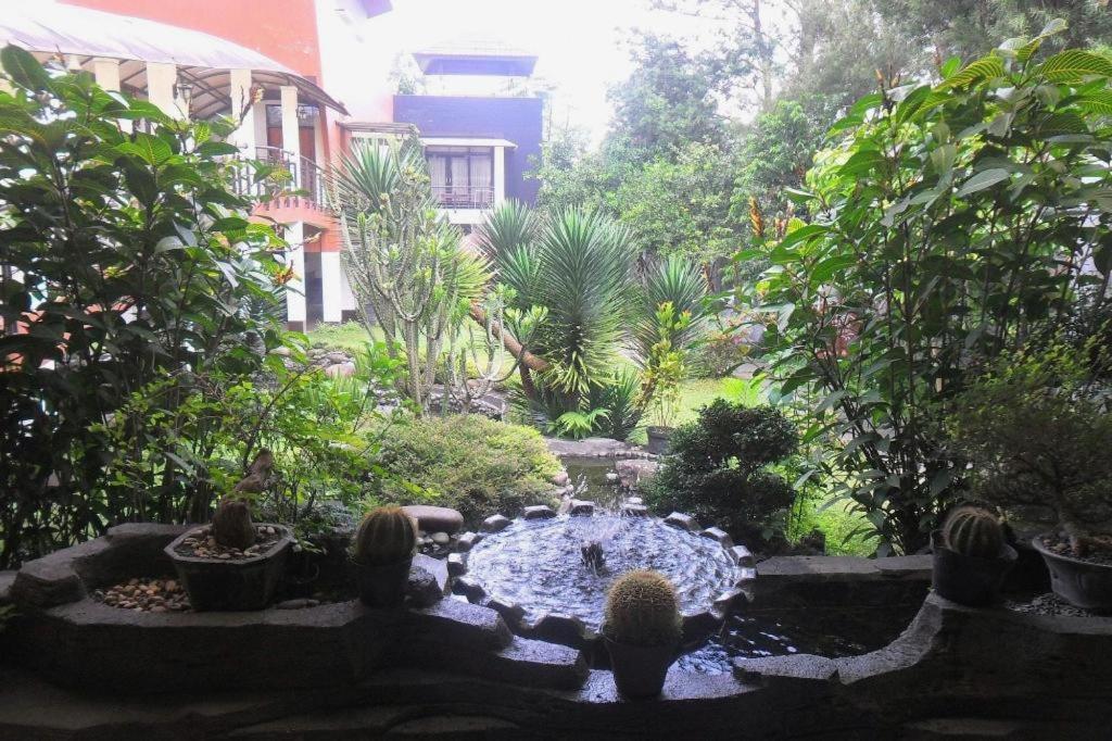 Villa Lemon Lembang Exterior photo